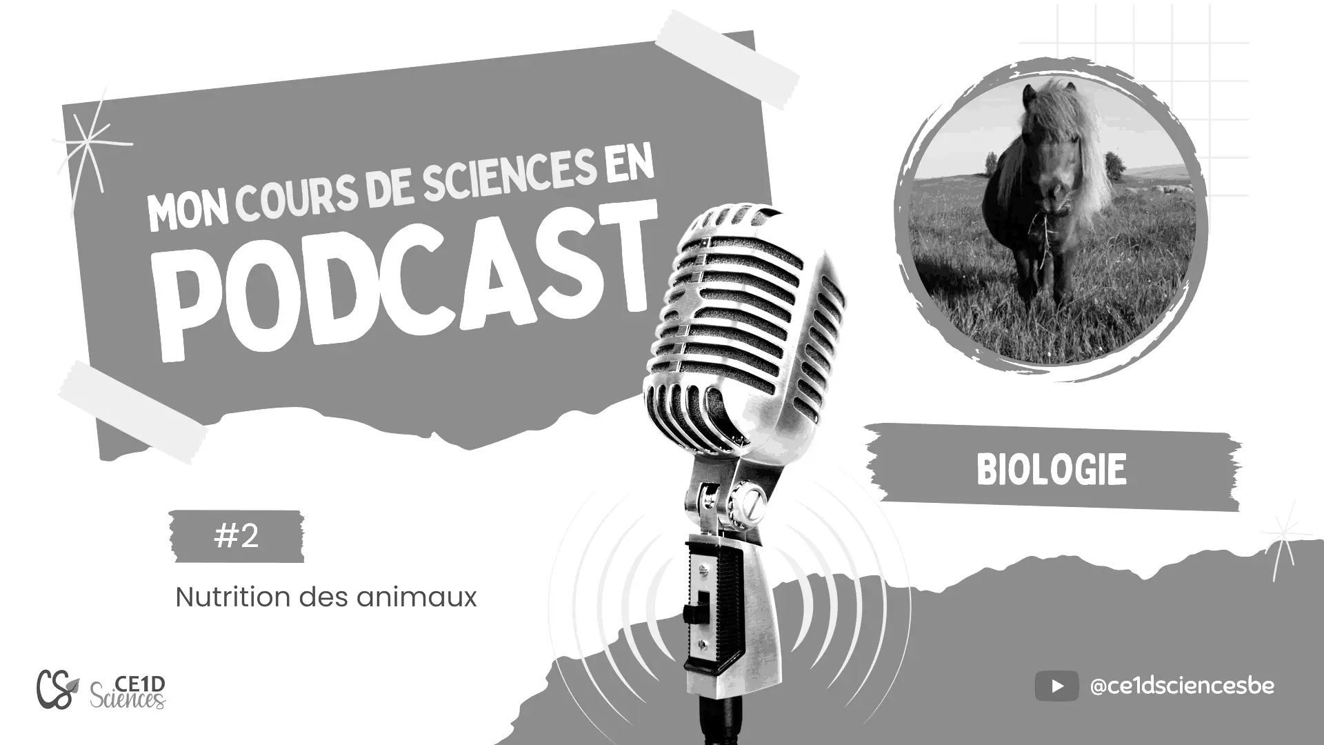 Mon cours de sciences en podcast
