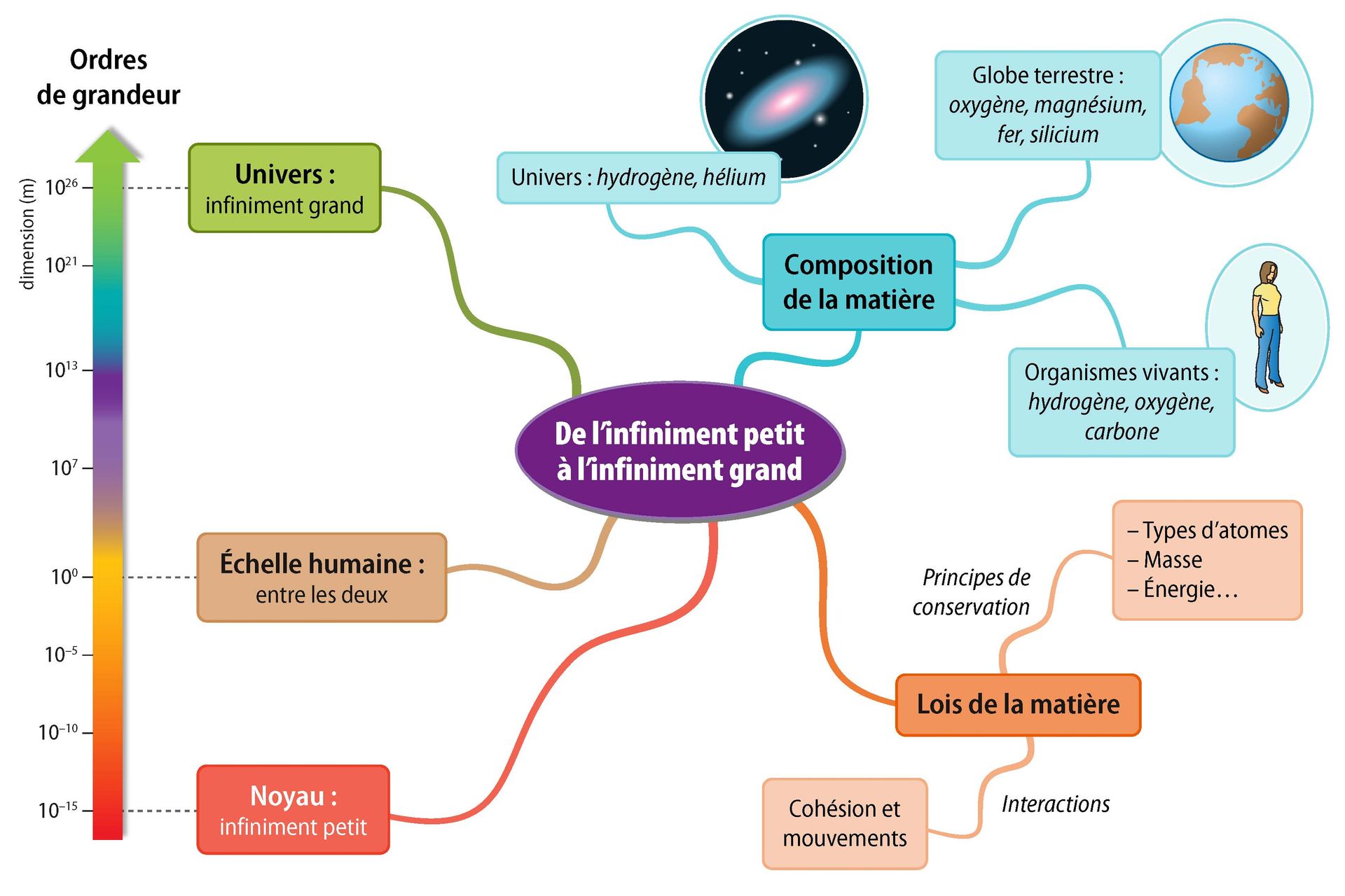 Synth ses CE1D Sciences Synth ses CE1D Sciences