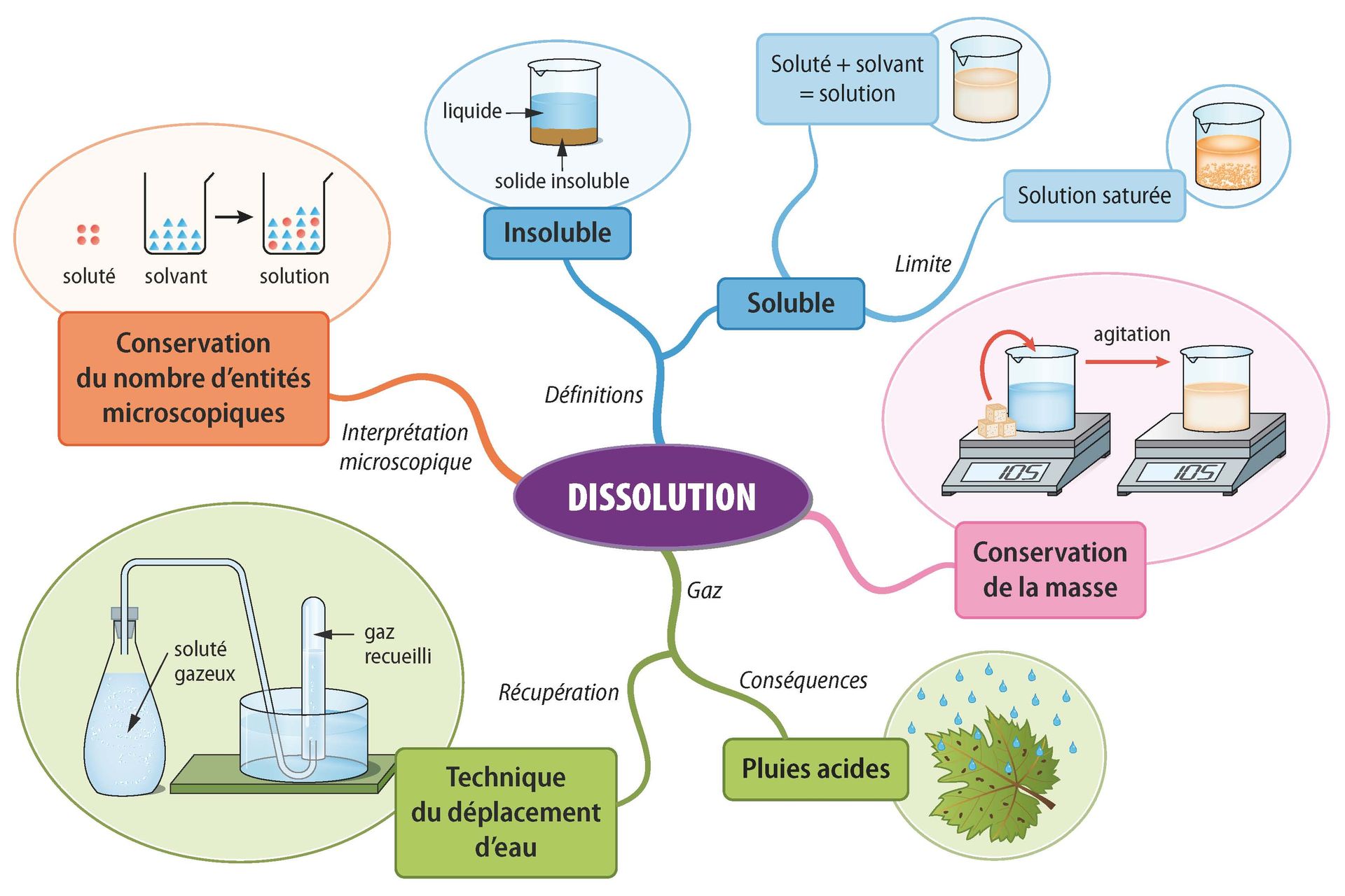 CE1D Sciences Outils pédagogiques gratuits