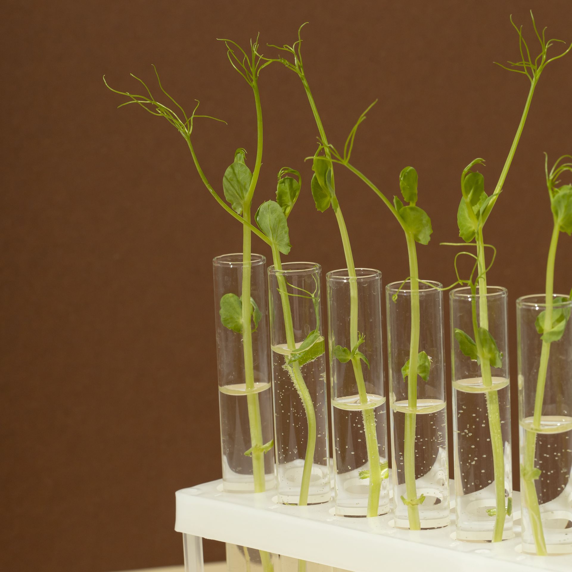 Sciences générales secondaire Sciences générales secondaire