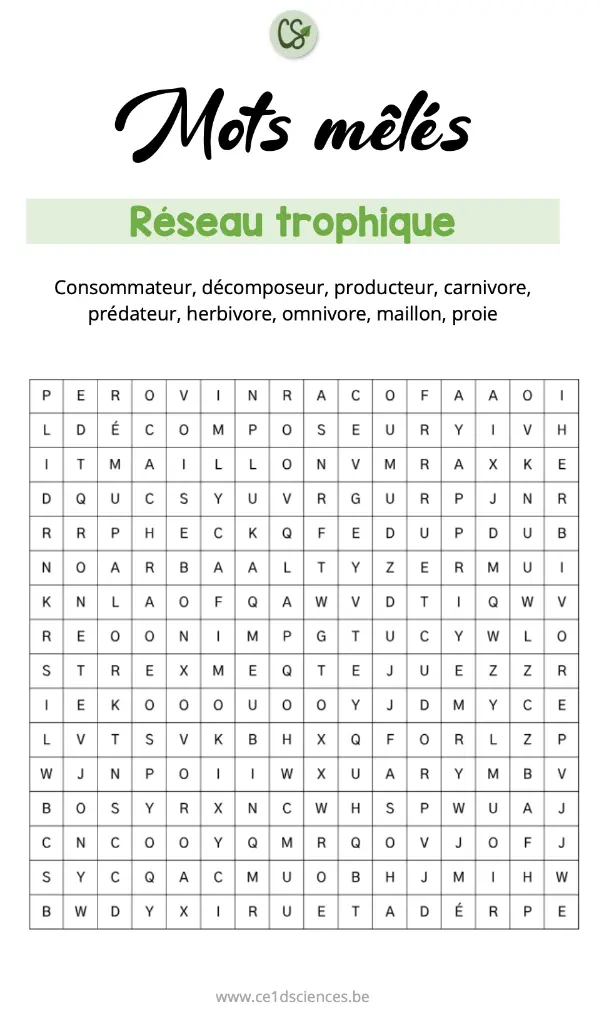 Capture d’écran 2025-10-03 à 12.46.46.webp