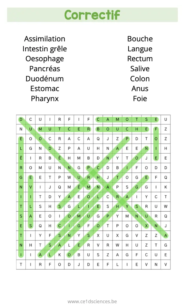 Capture d’écran 2025-10-03 à 12.47.10.webp