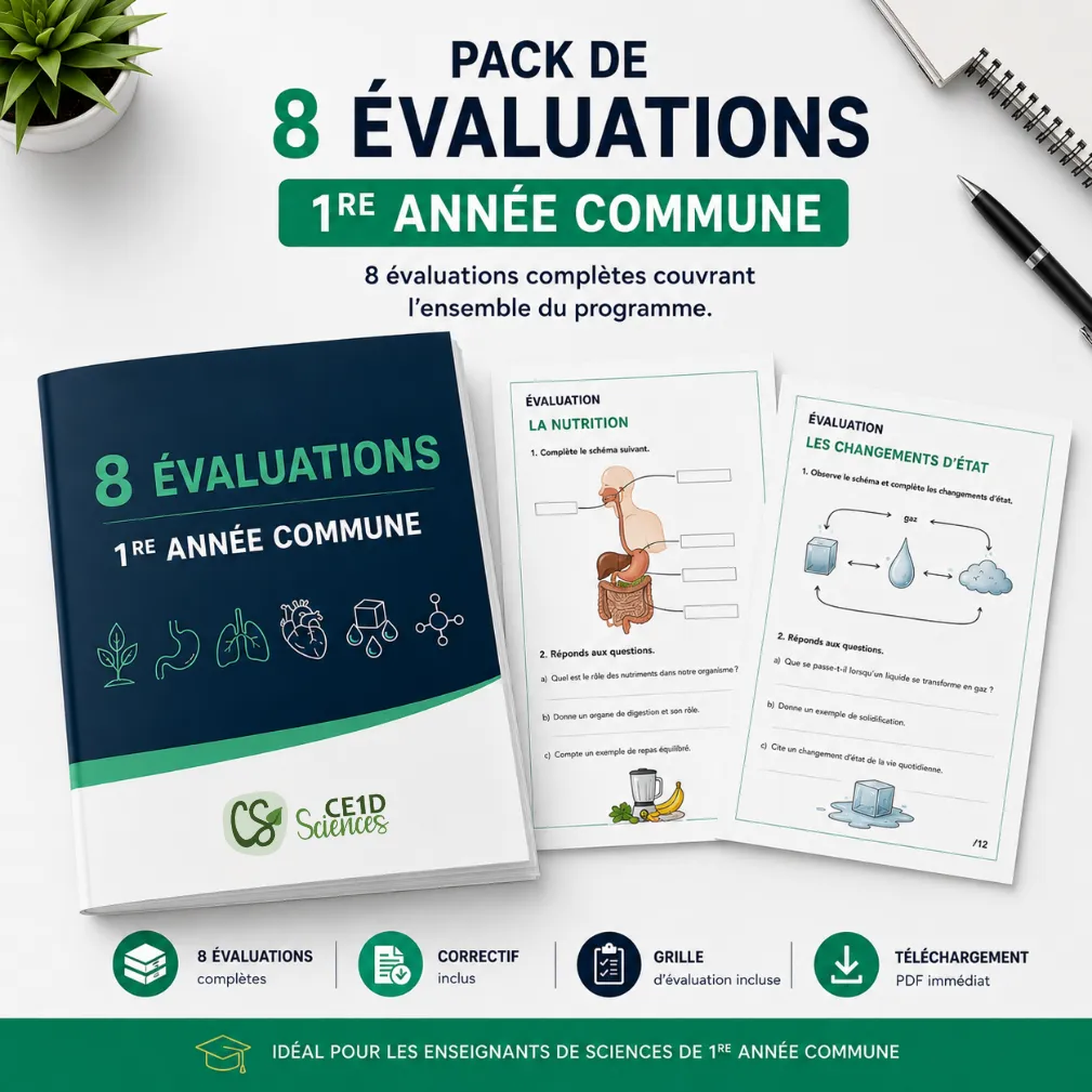 Pack de 8 évaluations - 1e année commune