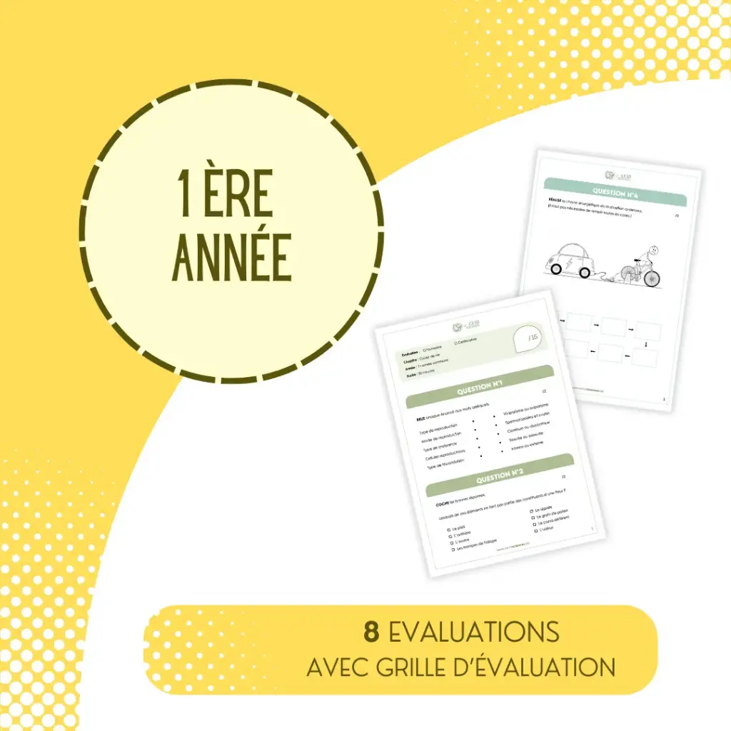 Pack de 8 évaluations - 1e année commune