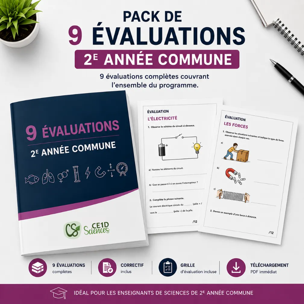 Pack de 9 évaluations - 2e année commune