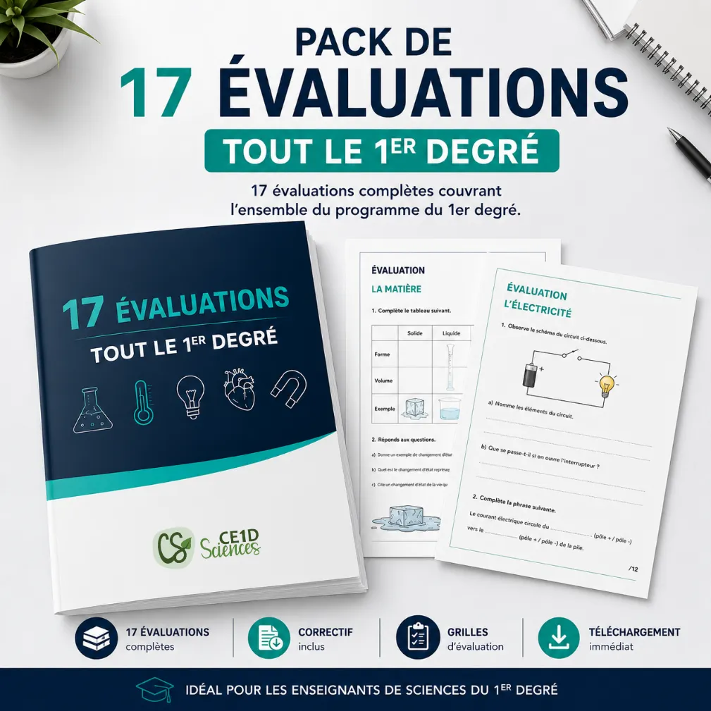 Pack de 17 évaluations - TOUT le 1e degré
