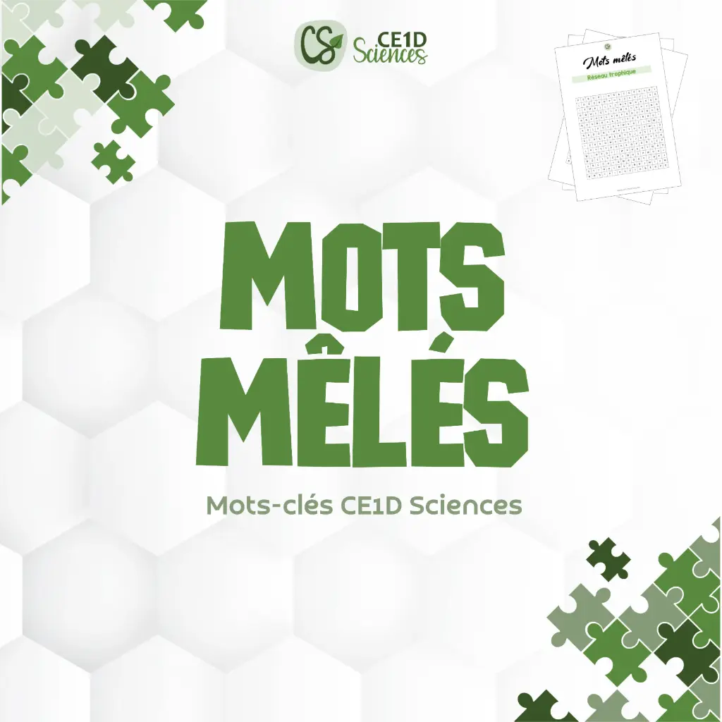 Cahier - Mots mêlés - Sciences