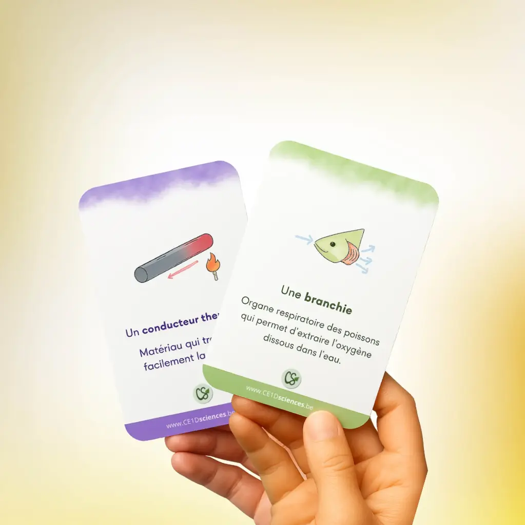 Jeu de cartes - 150 mots-clés - CE1D Sciences