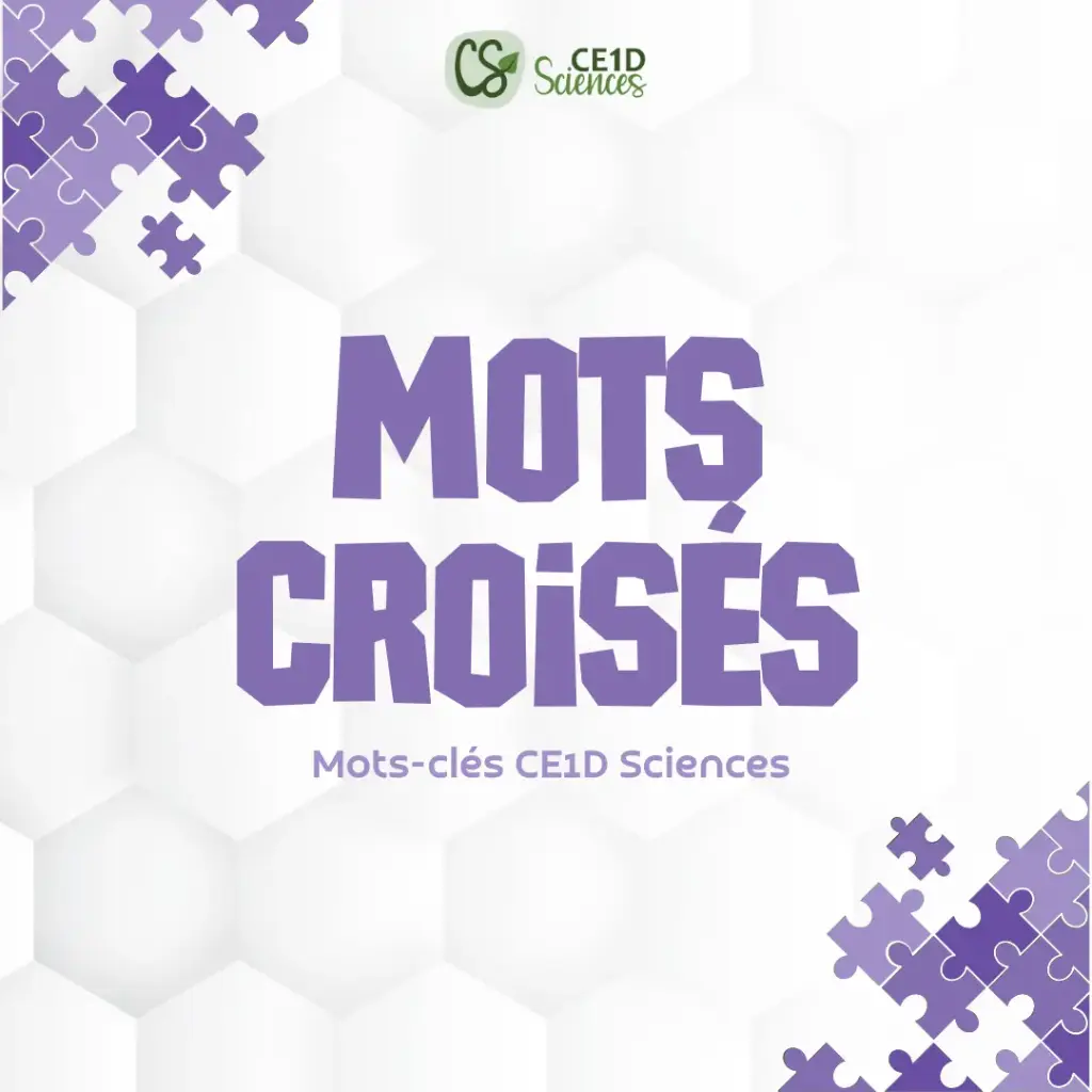 Cahier - Mots croisés - Sciences