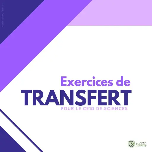 Cahier d'exercices (+ Correctif) - Exercices de transfert